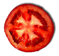 tomate-joao-parizotto